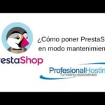 Guía para realizar un mantenimiento de una web en Prestashop