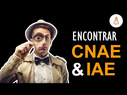 Actividad IAE Mantenimiento Páginas Web: ¡Optimiza tu sitio!