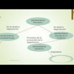 Contrato de servicios de mantenimiento web: ¡Mantén tu sitio en óptimas condiciones!